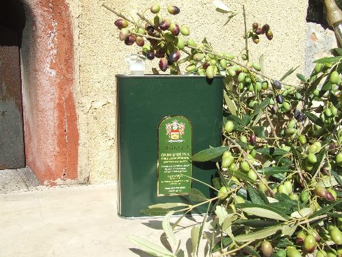 lattina olio 